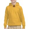 Youth Heavy Blend™ Hooded Sweatshirt Thumbnail